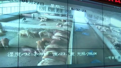 投資3.2億元！肇慶重點項目迎來新進展，網(wǎng)站建設(shè)加速推進