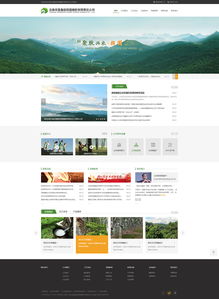 奧遠科技 云南昆明網(wǎng)站建設(shè)與網(wǎng)絡(luò)服務(wù)專家